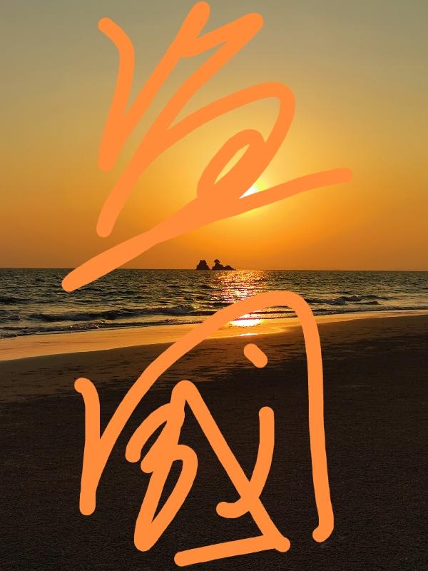 盗国九曜是讲什么